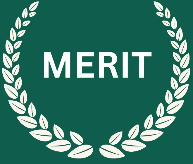 Merit online academy
